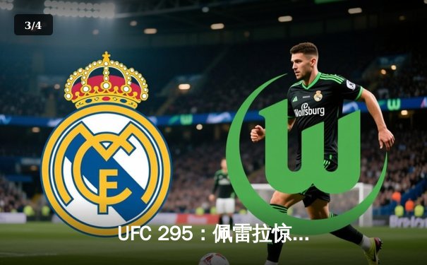 UFC 295：佩雷拉惊天逆转卫冕，普罗哈兹卡轻重量级王冠易主 - 3