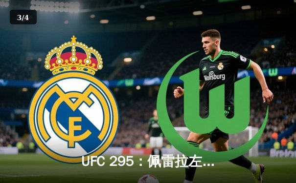 UFC 295：佩雷拉左钩拳KO普罗哈兹卡，闪电夺得轻重量级金腰带 - 3