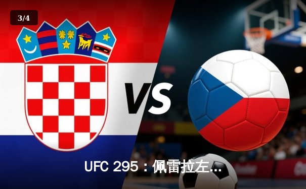 UFC 295：佩雷拉左勾拳震撼纽约 首回合TKO普罗哈兹卡加冕双冠王 - 3