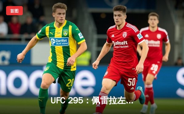 UFC 295：佩雷拉左勾拳震撼纽约，首回合KO普罗哈兹卡加冕轻重量级新王