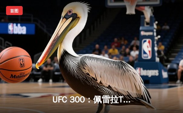 UFC 300：佩雷拉TKO终结希尔，成功卫冕轻重量级金腰带