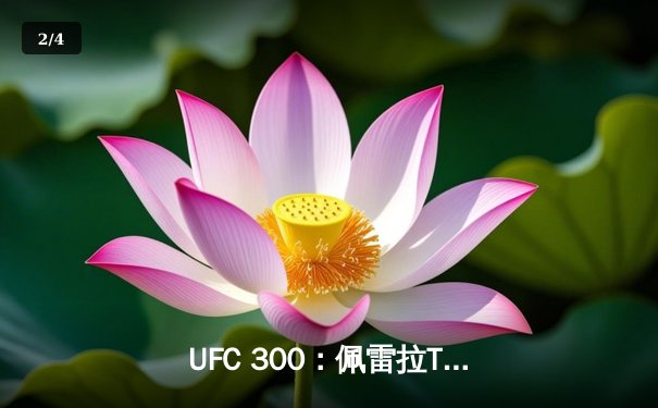 UFC 300：佩雷拉TKO终结希尔，成功卫冕轻重量级金腰带 - 2